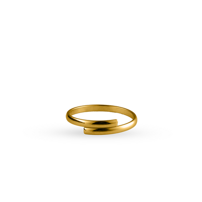Minimal Ring