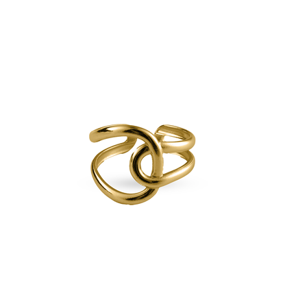 Enlace Ring